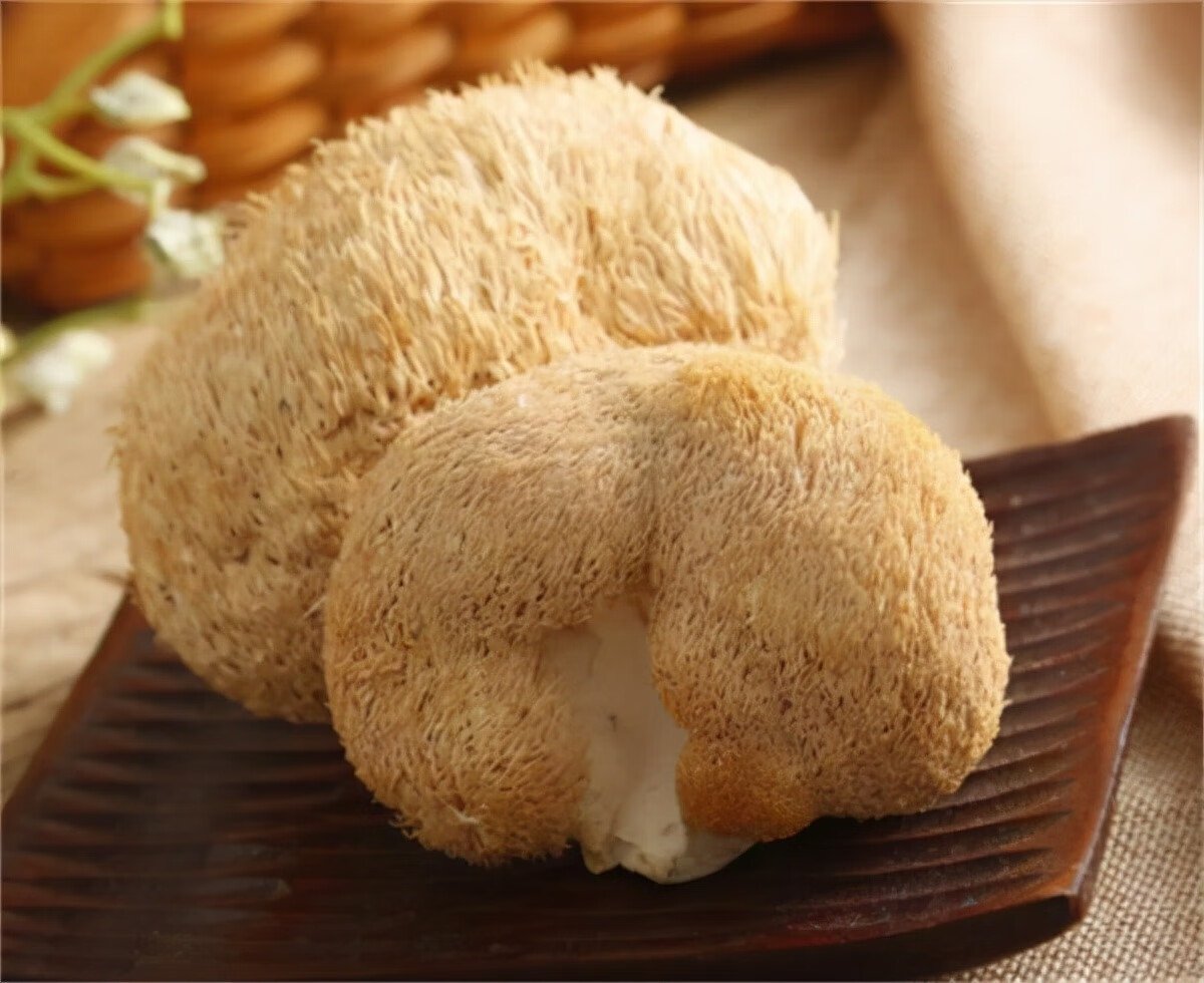 猴頭菇 (Lion’s Mane Mushroom) 美味與保健兼備的珍品，透視猴頭菇的功效