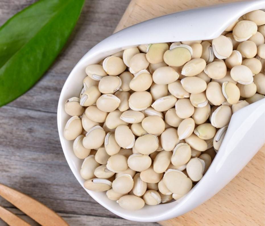 白扁豆的五大功效和食用禁忌