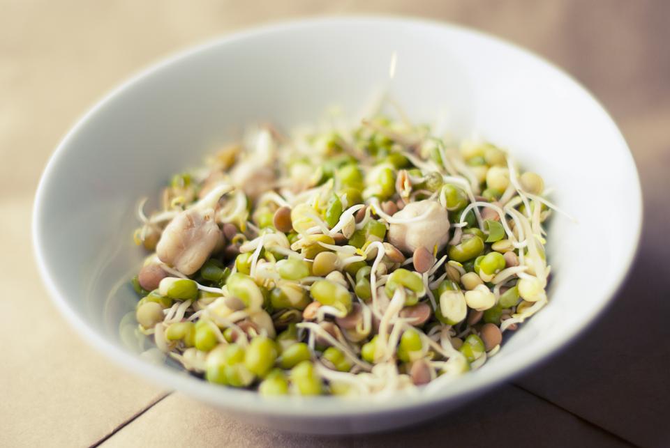 豆芽 (Bean Sprouts) 的食用價值及常見食譜，附加如何在家發豆芽要點